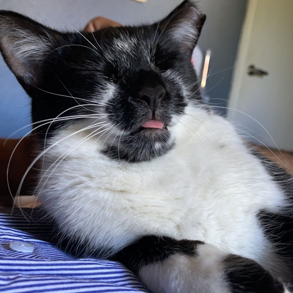 Meet your Posher, Edgar